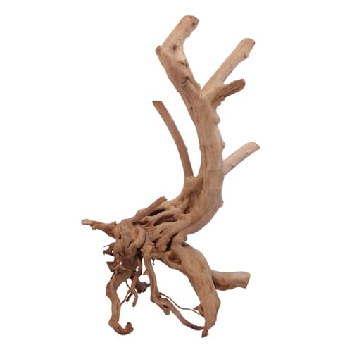 AquaOne Stump Wurzel Nr.2464 Aquarium Wurzel Holz Deko Aquascaping Dekoration Landschaft Mangrove Moorkien Moorwood Moos Natur Echtholz von AquaOne