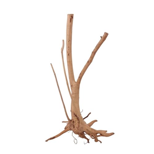 AquaOne Stump Wurzel Nr.2465 Aquarium Wurzel Holz Deko Aquascaping Dekoration Landschaft Mangrove Moorkien Moorwood Moos Natur Echtholz AquaOne Stump Wurzel Nr.2465 Aquarium Wurzel Holz Deko Aquascaping Dekoration Landschaft Mangrove Moorkien Moorwood Moos Natur Echtholz von AquaOne
