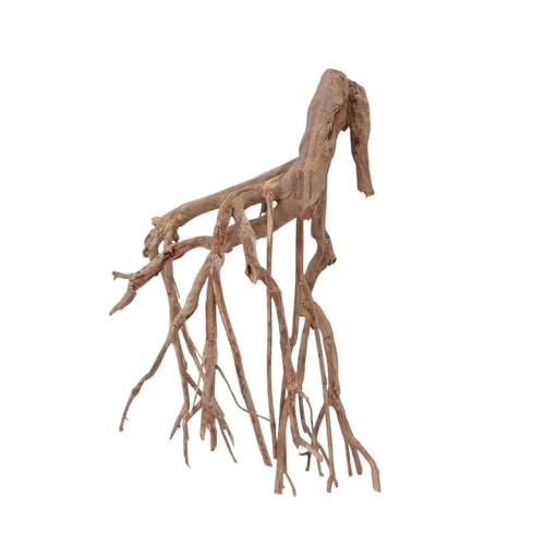 AquaOne XL Talawawurzel Nr.2355 Aquarium Wurzel Holz Deko Aquascaping Dekoration Landschaft Mangrove Moorkien Moorwood Moos Natur Echtholz von AquaOne