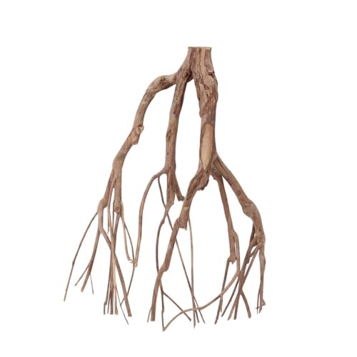 AquaOne XL Talawawurzel Nr.2379 Aquarium Wurzel Holz Deko Aquascaping Dekoration Landschaft Mangrove Moorkien Moorwood Moos Natur Echtholz von AquaOne