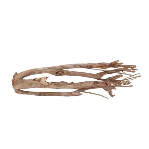 AquaOne XL Talawawurzel Nr.2394 Aquarium Wurzel Holz Deko Aquascaping Dekoration Landschaft Mangrove Moorkien Moorwood Moos Natur Echtholz von AquaOne