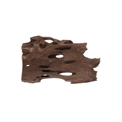 M Honey Comb Wurzel Nr.2262 Aquarium Wurzel Mangrove Holz Deko Aquascaping Dekoration Landschaft Moos Natur Echtholz von AquaOne