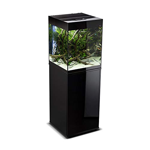 Aquael AQUAEL Glossy 100 Black Aquael 215LT Con SUPPORTO, x, schwarz, 20 Liter von Aquael