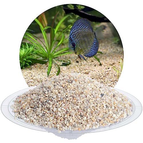 Schicker Mineral Aquariumkies beige 2,0-3,15 mm 5 kg, Naturkies gewaschen, entstaubt, keimfrei, ungefärbt, kantengerundeter Bodengrund, Kies für Süßwasseraquarien, Meerwasseraquarien und Aquascaping von Schicker Mineral
