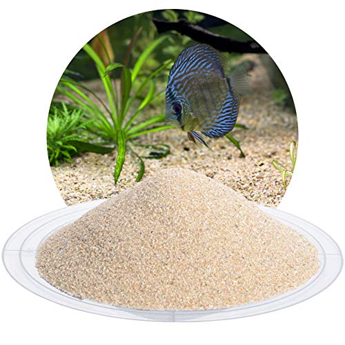 Schicker Mineral Aquariumsand beige 25 kg, feiner Aquariumkies gewaschen & ungefärbt, kantengerundeter Bodengrund, Kies für Süßwasseraquarien, Meerwasseraquarien, Aquascaping (Ø Körnung: 0,4-0,8 mm) von Schicker Mineral
