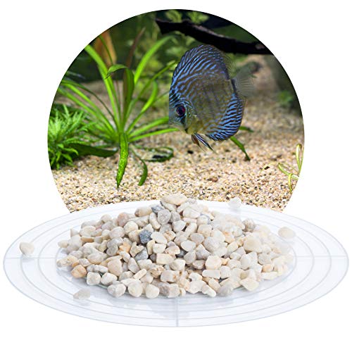 Schicker Mineral Aquariumkies beige 25 kg, grober Aquariumsand gewaschen, ungefärbt, kantengerundeter Bodengrund, Kies für Süßwasseraquarien, Meerwasseraquarien, Aquascaping (Ø Körnung: 5,6-8,0 mm) von Schicker Mineral