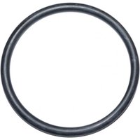 O-Ring mit 90 mm Durchmesser für die Wanddurchführung eines Schwimmbadfilters Ardeche von Aqualux
