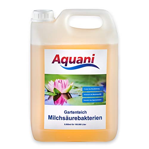 Aquani Milchsäurebakterien Teich 5.500ml probiotische Filterbakterien für alle Koi und Gartenteiche reduziert Nitrit und Algen + Gratis Messbecher von Aquani