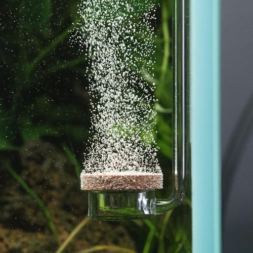 Aquario Neo CO2 Aquarium Diffusor - CO2 Diffusor Aquarium Kit, feiner Nebel Sauerstoff für Aquarium CO2 Diffusor für Aquarienpflanzen, CO2 System für Aquarium - Normaler Spezialdiffusor, groß von Aquario