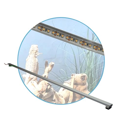 AQUARIUM PLÜDERHAUSEN Terrarium LED Beleuchtung Wüsten Reptilien Pflanzen LED 30 cm Set1 Leuchtbalken von AQUARIUM PLÜDERHAUSEN