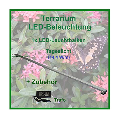 AQUARIUM PLÜDERHAUSEN Regenwald Terra, 1X LED-Beleuchtung 120cm, Leuchtbalken,Tropen Pflanzenlicht von AQUARIUM PLÜDERHAUSEN