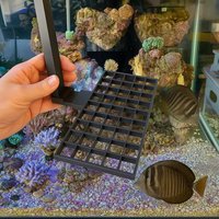 84 Coral Rack Korallen Regal Frag Zum Einhängen - Ständer Reefdeck Plug Halter Ableger Fragmentieren Board Holder 84 Coral Rack Korallen Regal Frag Zum Einhängen - Ständer Reefdeck Plug Halter Ableger Fragmentieren Board Holder von AquariumDream