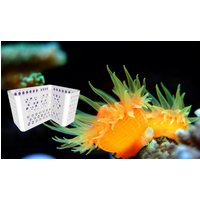 Aquarium Pflanzenbox Über Eck - Große Box Mangroven Bambus Schilf Mit Halter Meerwasser Süßwasser Zum Einhängen Pflanzkorb Variable Höhe von AquariumDream