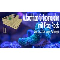 Reef Riff Aquarium Hang On Frag Rack Weichkorallen Korb Korallen Meerwasser Lederkorallen Vermehren Fragmentieren Pilzlederkorallen von AquariumDream