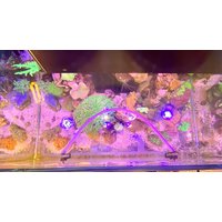 Schlauch Schwimmende Pflanzensperre - Self Leveling Paßt Sich Der Wasserhöhe An Hält Schwimmpflanzen Vom Filter Fern, Weg Schlauchversion Schlauch Schwimmende Pflanzensperre - Self Leveling Paßt Sich Der Wasserhöhe An Hält Schwimmpflanzen Vom Filter Fern, Weg Schlauchversion von AquariumDream