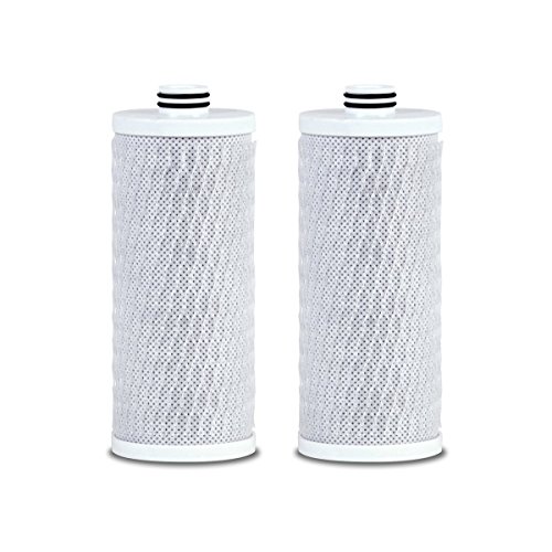 Aquasana Clean Water Machine Ersatz-Filterkartuschen – entfernt bis zu 96 % des Chlors und 99 % der 77 Verunreinigungen – 2 Stück – AQ-CWM-R-D von Aquasana