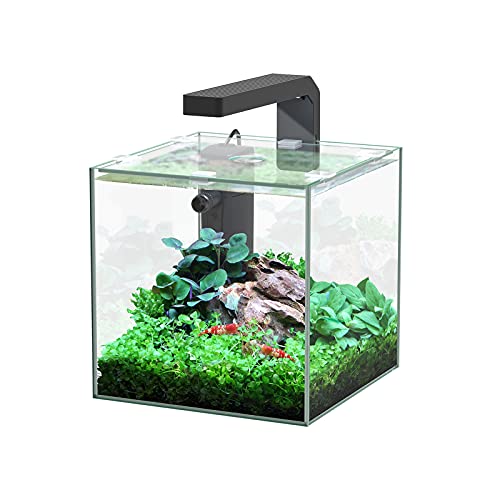 Aquatlantis Aquarium Kubus 5L von Aquatlantis