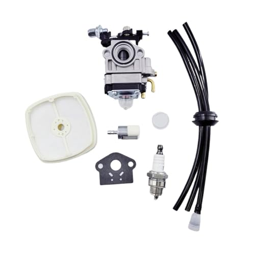 Aqxyhjk 10mm Vergaser for TU26 1E34F BC250 HB250 BT250 Echo BRD280 PE280 WYK-353 WYJ-117 WYJ-25 Pinsel Cutter Motor(1 Set) von Aqxyhjk