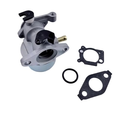 Aqxyhjk Vergaser 675 190cc Kit for 6,25 PS 6,75 PS Schubmäher 799866 790845 799871 796707 794304 Craftsman Motor(1 Set A as attached) von Aqxyhjk
