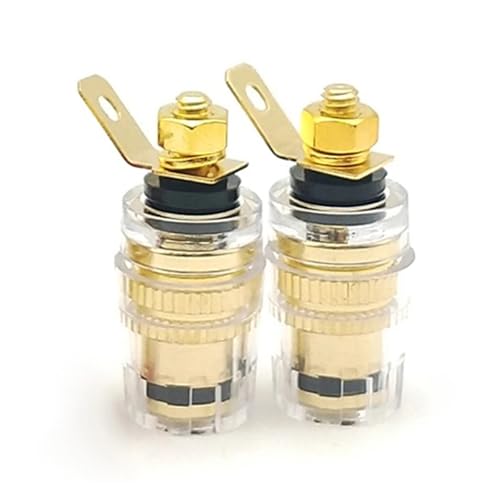 GUYTRM 2 STÜCKE Lautsprecheranschluss Binding Post 4mm Bananenstecker Buchse Niederfrequenzverstärker Anschluss for Lautsprecher lingli(2PCS-Black) von Aqxyxsw