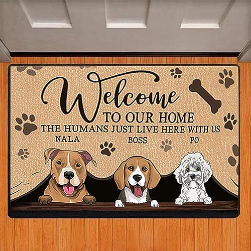 Arawat Badematte rutschfest Badteppich Fussmatte Willkommen Innen 50x80 cm Haustür Teppich Innen Hunde Schmutzfangmatte Bodenmatte Badläufer Teppich Wohnzimmer Badezimmer Welcome Door Mat von Arawat