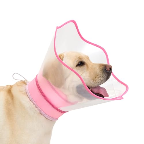 Arblina Halskrause Hund, Verstellbarer Halskrause Nach Operationen, Leckschutz Hunde mit Abnehmbarem Durchsichtigem Schutzschild, Trichter Hund für Kleine/Mittlere/Große Hunde, Rosa, XXL Arblina Halskrause Hund, Verstellbarer Halskrause Nach Operationen, Leckschutz Hunde mit Abnehmbarem Durchsichtigem Schutzschild, Trichter Hund für Kleine/Mittlere/Große Hunde, Rosa, XXL von Arblina