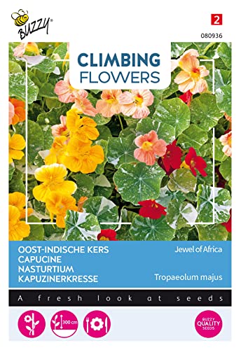 Buzzy Climbing Flowers, Tropaeolum Jewel of Africa von Arborix, grüner und billiger!