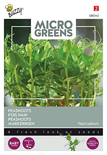 Buzzy Microgreens, Markerbsen von Arborix, grüner und billiger!