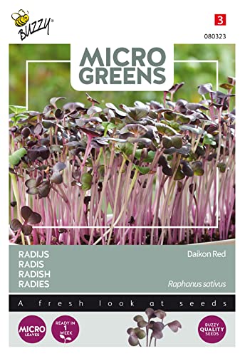 Buzzy Microgreens, Radies Daikon Rot von Arborix, grüner und billiger!