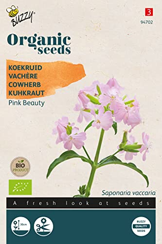 Buzzy Organic Saponaria, Kuhkraut Pink Beauty (BIO) von Arborix, grüner und billiger!