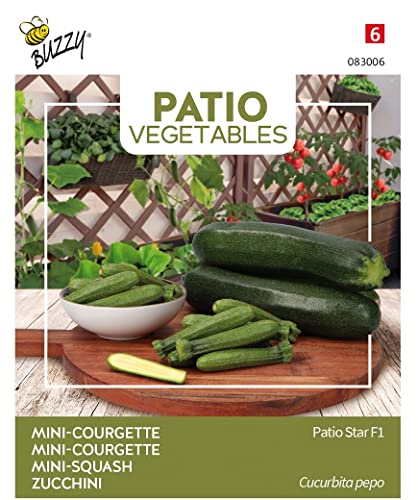 Buzzy Patio Veggies, Zucchini Patio Star F1 von Arborix, grüner und billiger!