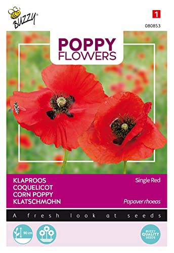 Buzzy Poppy Flowers, Klatschmohn Rot von Arborix, grüner und billiger!