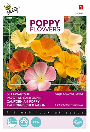 Buzzy Poppy Flowers Kalifornischer Mohn von Arborix, grüner und billiger!