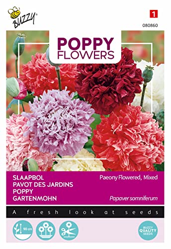 Buzzy Poppy Flowers Mohn Paeoniflorum Gef. Misch. von Arborix, grüner und billiger!