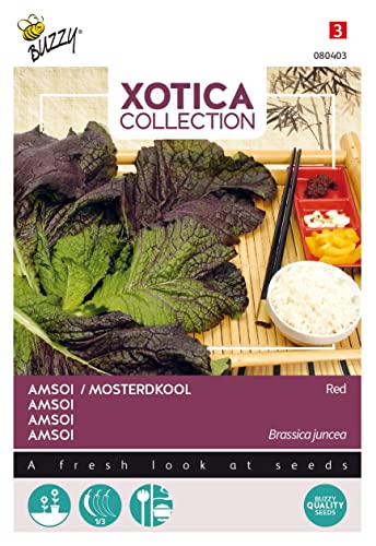 Buzzy Xotica Amsoi Rot von Arborix, grüner und billiger!