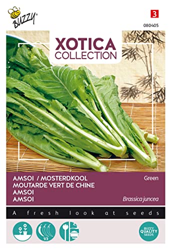 Buzzy Xotica Amsoi grun von Arborix, grüner und billiger!
