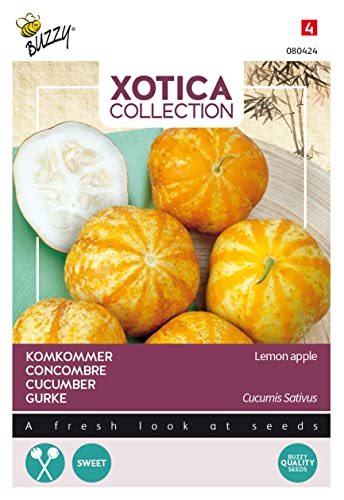 Buzzy Xotica Salatgurke Lemon Apple von Arborix, grüner und billiger!