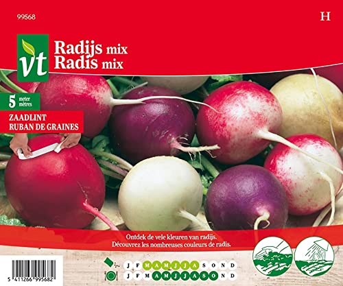 Rettich-Farbmischung - Gemüsesamen von Arborix, plus vert - moins cher