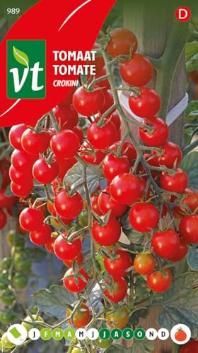 Tomate Crokini von Arborix