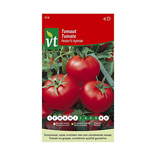 Tomaten Paola F1 Hybrid - Gemüsesamen von Arborix, plus vert - moins cher