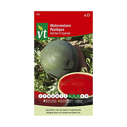 Wassermelone Red Star F1 Hybrid - Gemüsesamen von Arborix, plus vert - moins cher