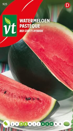 Wassermelone Red Star F1 Hybrid - Gemüsesamen von Arborix, plus vert - moins cher