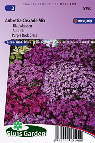 Aubrieta Purpel Rock Cress Cascade Mix Blumensamen von Arborix