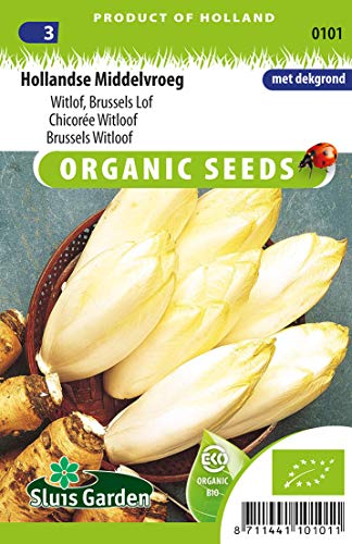 Brussels Witloof Mechelse Middelvroeg Gemüsesamen pro Gramm - Bio-Samen pro Gramm - 0,5 g - Samen pro Gramm: +/-250 von Arborix
