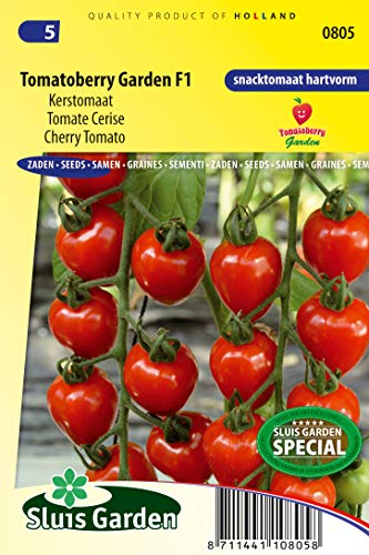 Tomate (Traversen) Gardenberry F1 Gemüsesamen pro Gramm - Lange Trauben mit roten, herzförmigen Kirschtomaten - Samen pro Gramm: +/-8 von Arborix