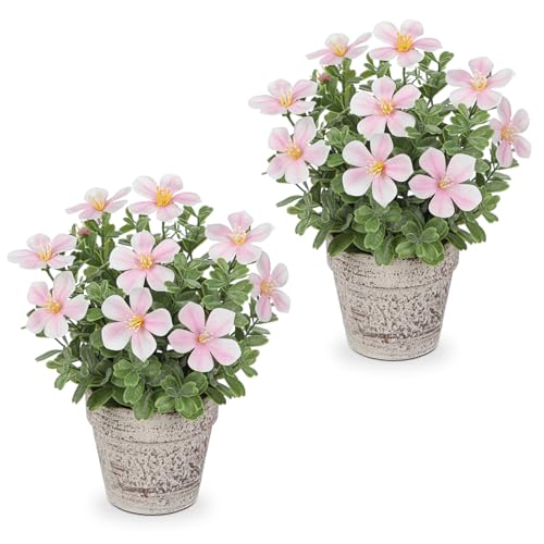 Arborus 2 STK Kunstblumen Tisch Deko Künstliche Blumen wie Echt im Topf Deko Blumen Klein 25 cm Künstliche Sauerklee Künstliche Plfanzen mit Blüten Kunstblumen Frühling Deko Wohnzimmer Deko Bad Deko Arborus 2 STK Kunstblumen Tisch Deko Künstliche Blumen wie Echt im Topf Deko Blumen Klein 25 cm Künstliche Sauerklee Künstliche Plfanzen mit Blüten Kunstblumen Frühling Deko Wohnzimmer Deko Bad Deko von Arborus