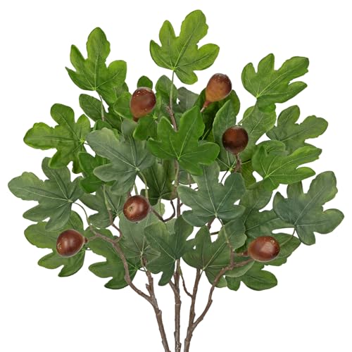 Arborus 3 STK Künstliche Zweige wie Echt 62 CM Künstliche Ficuszweige mit Feigen Kunstzweige zum Basteln Äste und Zweige Deko für Vase Blumenstrauß Grün Wohnzimmer Badezimmer Esszimmer Büro Hotel Deko Arborus 3 STK Künstliche Zweige wie Echt 62 CM Künstliche Ficuszweige mit Feigen Kunstzweige zum Basteln Äste und Zweige Deko für Vase Blumenstrauß Grün Wohnzimmer Badezimmer Esszimmer Büro Hotel Deko von Arborus