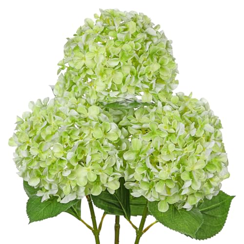 Arborus 3 STK Kunstblumen Hortensie 67 cm Seidenhortensie Grün Künstliche Zweige mit Blüten Künstliche Hortensie für Vase Blumenstrauß Tisch Regal Deko im Wohnzimmer Badezimmer Esszimmer Küche Büro von Arborus