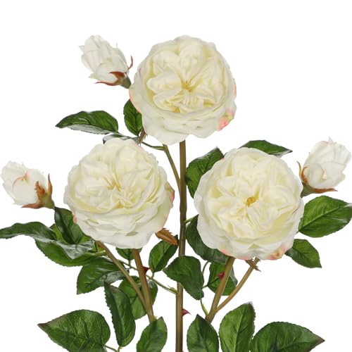 Arborus 3 STK Kunstblumen Rosen 60 cm Fake Rose Zweige Künstliche Blumen wie Echt Künstliche Rosen für Vase Blumen zum Basteln Blumenstrauß für Tisch Regal Fensterbank Deko Arborus 3 STK Kunstblumen Rosen 60 cm Fake Rose Zweige Künstliche Blumen wie Echt Künstliche Rosen für Vase Blumen zum Basteln Blumenstrauß für Tisch Regal Fensterbank Deko von Arborus