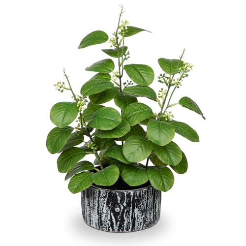 Arborus Ficus Künstlich im Topf Künstliche Pflanzen wie Echt im Topf Grün Kunstpflanzen mit Samen 36 cm Dekopflanzen für Tisch Deko Regal Deko Fensterbank Deko Zimmer Deko Büro Deko Arborus Ficus Künstlich im Topf Künstliche Pflanzen wie Echt im Topf Grün Kunstpflanzen mit Samen 36 cm Dekopflanzen für Tisch Deko Regal Deko Fensterbank Deko Zimmer Deko Büro Deko von Arborus